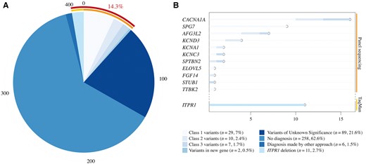 Sequencing conclusions and gene mutations frequencies across a large cohort of 412 patients with dominant cerebellar ataxias. (A) Distribution of pathogenic classes across our cohort. Relevant genetic variants were identified in 14.3% of patients. (B) Distribution of mutations in implicated genes across pathogenicity Classes 1, 2 and 3.
