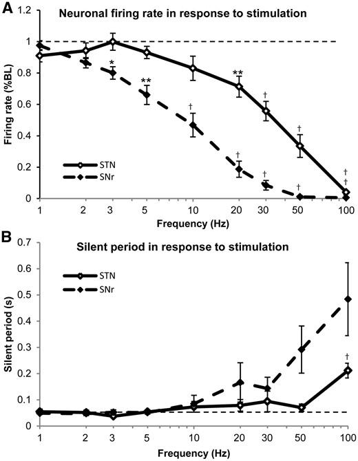 Frequency-dependent responses of average firing rates and silent periods of STN and SNr neurons. (A) The firing rates decreased as the stimulation frequency was increased in both STN and SNr neurons. SNr neurons appeared to have stronger inhibitory response to stimulation frequency and were silenced at 50 Hz in most cases, while STN neurons were only silenced with 100 Hz stimulation. STN neuronal firing rates differed significantly from pre-stimulation baseline (dashed line) at 20 Hz or greater, while SNr neurons began to differ from baseline at 3 Hz. (B) The silent period is the time between the last pulse of a stimulation train and the return of the first spike after cessation of stimulation. In both STN and SNr neurons, the silent period was not modulated with lower frequencies of stimulation. At frequencies of 20 Hz and greater, the silent period began to increase, having a seemingly larger response in SNr neurons, however, with a higher variability. With 100 Hz stimulation, the silent period increased to 211.6 ± 28.23 ms in STN (baseline: 54.85 ± 9.910 ms), and 483.8 ± 138.8 ms (baseline: 48.75 ± 4.450 ms) in SNr. *P < 0.05, **P < 0.01, †P < 0.001.
