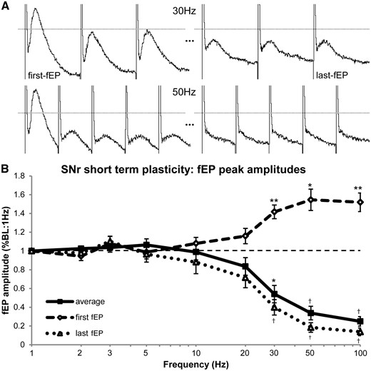 Frequency-dependent responses (short-term plasticity) of the average, first and last fEP during stimulation trains at SNr recording sites. (A) Sample raw traces from the same patient showing the first three and last three post-stimulus fEPs induced during a 30 Hz stimulation train and the first and last five fEPs induced during a 50 Hz stimulation train. The dashed line represents the ‘baseline’ fEP amplitude during the 1 Hz stimulation train, which remained constant. (B) Frequency-dependent responses in first, last, and average fEP amplitudes during stimulation trains. As the frequency of stimulation was increased, there was a rapid attenuation of the amplitude of the average fEP. However, the first-fEP within each train became potentiated as the stimulation frequency increased. The inhibitory potentiation (facilitation) effect was induced by the stimulus delivered by the previous stimulation train. As the facilitation increased, the synaptic depression effect correspondingly increased as well, demonstrated conjointly by the attenuation of average and last-fEP amplitudes. These phenomena are believed to be, in part, modulated by depletion of releasable stores of GABA within presynaptic terminals. *P < 0.05, **P < 0.01, †P < 0.001.