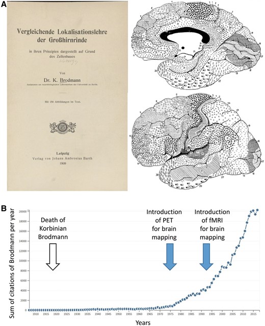 Influence of Brodmann's monography and map on modern day neuroimaging studies. (A) Title page of the famous monography (Brodmann, 1909) and the final version of the map of the entire human cerebral cortex (Brodmann, 1910). (B) Development of the citations of Brodmann’s work up to the year 2017. Source: Web of Science.
