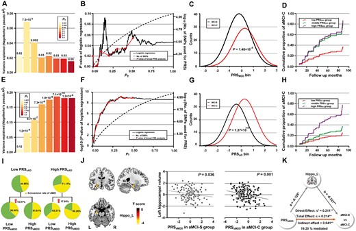 The predictive effects of PRSMDD (A–D) and PRSAD (E–H) on the conversion from aMCI to Alzheimer’s disease, conversion rate among the bisected PRS groups (I) and mediation analysis (J–K). (A and E) The bar plots show the predictive effects of the PRS constructed by the best-fit PT and other seven broad PT values (0.001, 0.05, 0.1, 0.2, 0.3, 0.4 and 0.5) on the conversion of aMCI. The numbers above the bars are P-values for the logistic regression between the PRS and aMCI-C. The y-axis shows proportion of variance explained by the PRS. (B and F) The high resolution PRS analyses identify the best-fit PT for constructing the PRSMDD (PT = 0.009) and PRSAD (PT = 0.352). The x-axis shows the PT from 0.001 to 1 with an increment of 0.001. The black line shows the P-value of the logistic regression (left y-axis) at different PT; the dashed line shows numbers of SNPs (right y-axis) at different PT; and the red line connects points at the P values of the broad PRS analysis. (C and G) Distribution of the PRS measures for aMCI-S and aMCI-C. The y-axis shows the counts of each PRS bin (x-axis). (D and H) Cox proportional hazard model shows the associations between the PRS and the conversion from aMCI to Alzheimer’s disease at different time points (x-axis). The y-axis shows the cumulative proportion of aMCI-C for any given follow-up period on the x-axis. The red, green and purple lines show the low, middle and high PRS groups, respectively. (I) Differences in conversion rate among the bisected PRS groups. (J) Left: The brain region with significant negative correlations between the PRSsMDD and GMV. Right: The scatter plots show correlations between the PRSsMDD and GMV in the aMCI-S and aMCI-C groups. (K) The mediation analysis shows that the left hippocampal volume mediates the predictive effect of the PRSsMDD on the conversion of aMCI. AD = Alzheimer’s disease; PT = P-values threshold of genome-wide association studies; *P < 0.01; **P < 0.001.