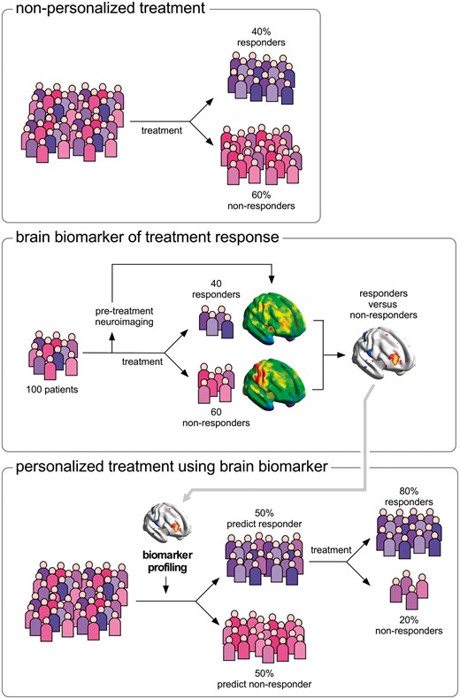 Use of functional neuroimaging to predict treatment response and stratify patients. Non-personalized treatment (top). When a population of patients is exposed to treatment X, some individuals respond to the treatment (e.g. 40%) and others do not (e.g. 60%). Brain biomarker of treatment response (middle). Functional brain imaging before any treatment is delivered to a group of patients to obtain predictive information about whether the patients are responders or non-responders. Personalized treatment using brain biomarker (bottom). The features of brain activity that distinguished responders from non-responders can be looked for in a new population of patients who have not yet been treated, to predict individual patient’s response, and thereby provide the first-line treatment that is most likely to be effective for that individual patient.
