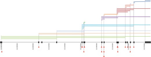Distribution of deletions and splice-site mutations. SPAST exons are represented in black. Deletions are represented in the upper part of the figure by coloured horizontal bars, spanning the length of the deleted region. Splice-site mutations are represented in the lower part of the figure by red triangles.