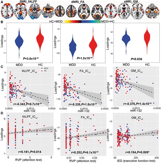 The identified joint components that are not only correlated with miR-132 levels, but also show significant group differences in all modalities. (A) The spatial maps visualized at |Z| > 2, where the positive Z-values (red regions) means healthy control subjects > MDD and the negative Z-values (blue regions) means healthy control subjects < MDD. (B) Boxplot of the loading parameters of ICref that were adjusted as healthy control subjects > MDD on the mean of loadings. (C) Loadings of ICref and miR-132 levels were negatively correlated (healthy control subjects: red dots, MDD: blue dots); thus MDD correspond to higher miR-132 expression levels and lower loading weights compared to healthy control subjects. (D) Correlation between loadings of ICref and CANTAB cognitive domain scores. The higher Rapid Visual Information Processing score (RVP attention test) corresponds to better attention, which is linked with higher fractional anisotropy and fALFF in the identified red regions. Similarly, a higher IED score (Intra-Extra Dimensional Set Shift, executive function test) is associated with higher grey matter volume in the identified grey matter regions, suggesting better executive function. *Significance passed FDR correction for multiple comparisons. The grey regions in C and D indicate a 95% confidence interval. dMRI = diffusion MRI; FA = fractional anisotropy; fMRI = functional MRI; GM = grey matter; sMRI = structural MRI.