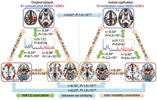 Comparison of miR-132 associated multimodal covarying patterns between unmedicated patients with MDD and medication-naïve patients with MDD. The orange arrows represent inter-modality covariation between different modalities; the blue arrows represent intra-modality similarity cross different datasets and the green arrows denote the correlations between miR-132 and the target joint components. *Denotes the correlations passing FDR correction for multiple comparisons.
