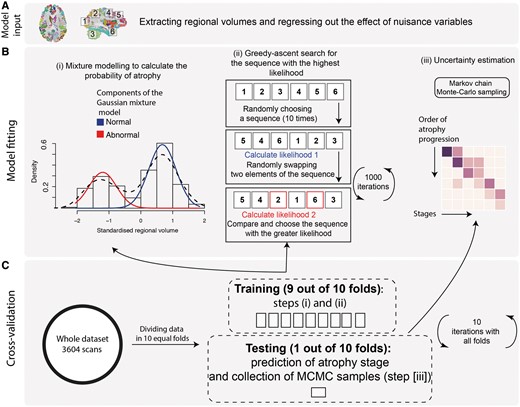 The event-based model steps to estimate the most likely sequence of atrophy progression. The three steps are: (A) adjusting for nuisance variables, and region selection; (B) calculating the best-fit probability distributions for normal and atrophic brain regions; searching for the most likely sequence; and (C) quantifying the uncertainty with cross-validation. [B(i)] The distribution of the volume in an example region in healthy controls and patients and the corresponding mixture model. (ii) The steps for greedy ascent search. (iii) A matrix showing a sequence of atrophy progression on the y-axis, and the position in the sequence of each region ranging from 1 to the total number of regions on the x-axis. The intensity of each matrix entry corresponds to the proportion of Markov Chain Monte Carlo samples of the posterior distribution where a certain region of y-axis appears at the respective stage of x-axis.