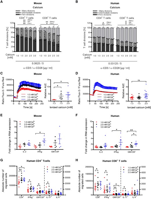 Hypercalcaemia increases proliferation and encephalitogenic differentiation of both human and murine CD4+ and CD8+ T cells. (A, C and E) Splenocytes were isolated from naïve wild-type mice receiving standard vitamin D diet. (B, D, F, G and H) Human PBMCs were isolated from healthy donors after Ficoll gradient centrifugation. (A and B) MACS purified murine or human T cells were CFSE labelled and incubated with increasing calcium concentrations at 37°C. After 1 h, T cells were transferred to anti-CD3/anti-CD28 pre-coated wells and incubated for 48–72 h (murine T cells) or 96–120 h (human T cells). T-cell proliferation was evaluated by CFSE dilution and stratified by division frequency as follows: few divisions (1–2; dark grey), intermediate divisions (3–4; medium grey) and many divisions (≥5; light grey). T-cell divisions are shown as mean ± SEM; representative plots of two independent experiments; n = 3. MACS purified (C) murine or (D) human T cells were incubated with concentrations of ionized (free) calcium equivalent to concentrations measured in serum or culture medium. After 1 h, T cells were stained with Fluo-3 AM and Fura Red AM and calcium flux was evaluated by FACS. Representative calcium flux is shown left and area under the curve is depicted on the right (data given as mean ± SEM; (C) pooled plots from two independent experiments; n = 5; (D) pooled plots from three independent experiments; n = 8). MACS purified (E) murine or (F) human T cells were incubated with increasing calcium concentrations at 37°C. After 1 h, T cells were transferred to anti-CD3/anti-CD28 pre-coated wells and incubated for 1–3 h (murine T cells) or 3–20 h (human T cells). Total RNA was isolated, transcribed into cDNA and analysed by qPCR (data given as mean ± SEM; (E) pooled plots from two independent experiments; n = 4, (F) pooled plots from two independent experiments; n = 6–7). Number of CD4+ (G) and CD8+ (H) T cells in bottom chamber after 16 h migration over inflamed human BBB-ECs (modified Boyden chamber assay; left: total number of cells; right: number of cytokine-producing cells), following activation of T cells in the presence of various calcium concentrations. One million activated human T lymphocytes were seeded (data given as mean ± SEM; n = 6 different T-cell donors, two different BBB-EC preparations).