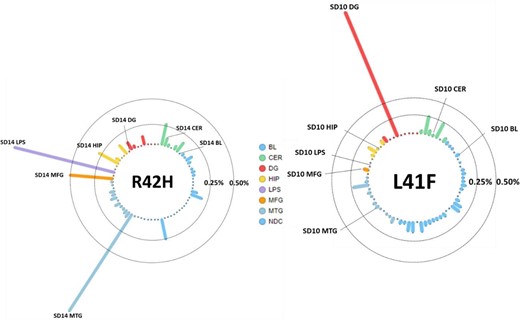 Allele frequencies for L41F and R42H in all tested amplicon panel samples. Each column is a sample, the tissues represented by colour; blood (BL, blue), cerebellum (CER, green), dentate gyrus (DG, red), hippocampus (HIP, orange), middle temporal gyrus (MTG, purple), middle frontal gyrus (MFG, salmon) and superior parietal lobe (LPS, pink). The vertical axis shows the variant allele frequency in that respective tissue, with lines representing the 0.25% and 0.50% thresholds. The tissues with highest variant allele frequency are labelled with the patient identifier and respective tissue.