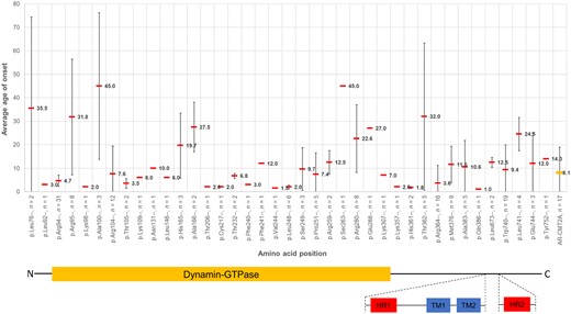 The average age of onset of symptoms at each amino acid position for all the pathogenic and likely pathogenic variants with dominant inheritance and AR-CMT2A cases identified in this study. AR-CMT2A cases shown on the far right. For each amino acid position, the cumulative variant count irrespective of the amino acid substitution, is also listed (n; for example ‘p.Arg94–, n = 31’ contains all 31 cases of p.Arg94Trp, p.Arg94Gln, p.Arg94Gly and p.Arg94Leu). On the x-axis, the variants are equidistant from one another for graphical purposes; the distance between the variants displayed is not to scale. However, the primary structure of the MFN2 protein has been drawn below the graph in a skewed fashion to account for this and highlights which functional domains the variants reside in. The average age of onset of symptoms for each amino acid position is displayed with a horizontal red bar and the standard deviation bars, indicative of the spread in age of onset for each position, are also shown for all amino acid positions with variant counts of two or more.