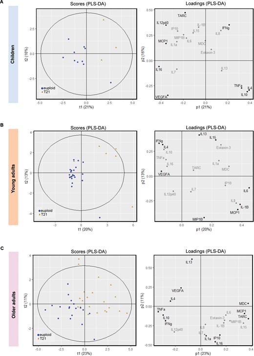 PLS-DA for cytokine expression in individuals with Down syndrome and age-matched controls. The plots display cytokine data after PLS-DA in (A) children, (B) young adults, and (C) older adults with Down syndrome and their age-matched controls. Left: Scores plots representing the scores for each observation on principal component (PC)1 and PC2 (t1 and t2). Scores plots are useful to determine whether there is clustering of observations. The Hotelling ellipse represents the 95% confidence interval for the model. Right: The loadings for each cytokine representing the contribution of each cytokine to PC1 and PC2 (p1 and p2). The cytokines contributing most to the model (three extreme values) are displayed in black while those with a minimal contribution are highlighted in grey. Blue circles: euploids or controls; brown triangles: T21 or Down syndrome.
