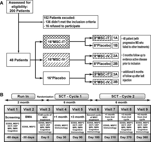 Study design and flow chart. fMRI = functional MRI; MS = multiple sclerosis; MSFC = Multiple Sclerosis Functional Composite; OCT = optical coherence tomography; VEP = visual evoked potentials.