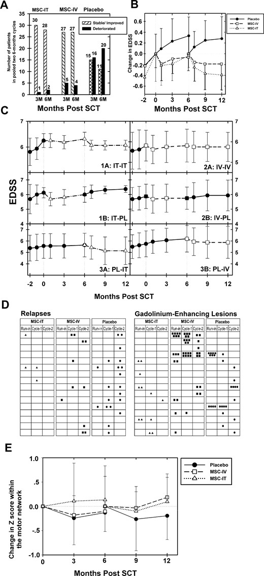 Clinical and radiological effects of MSC-IT and MSC-IV transplantation versus sham treatment in progressive multiple sclerosis. (A) Beneficial effect of MSC treatment on the progression of multiple sclerosis as evidenced by the changes in EDSS. Number of patients in each treatment subgroup (MSC-IT, MSC-IC, and sham treatment) who deteriorated in EDSS score or were stable or improved in EDSS, during each 3- or 6-month period (pooled data from the two cycles of treatment). P < 0.0001 (3 months) and P = 0.0003 (6 months) for MSC-IT versus sham treatment (chi-squared test); P = 0.0085 (3 months), P = 0.0008 (6 months) for MSC-IV versus sham treatment (chi-squared test). (B) Treatment with MSC induces beneficial effects on the progression of multiple sclerosis, as evidenced by the changes in EDSS score. Longitudinal follow-up of the mean changes in EDSS scores in each of the major treatment group (MSC-IT, MSC-IV, and placebo/sham treatment), during the run-in pretreatment period, and at 3 and 6 months following each cycle of treatment. (P < 0.0001 for MSC-IT versus sham at 3 months and P < 0.0001 at 6 months; the corresponding P-values for MSC-IV versus sham, were 0.001 at 3 months and 0.0002 at 6 months, Wilcoxon signed-rank Test.) (C) Differential clinical effects in each of the six treatment subgroups during the two phases of the trial (longitudinal changes in the EDSS score). Longitudinal follow-up of the mean EDSS scores in each of the six treatment subgroups (1A: MSC-IT/MSC-IT, 1B: MSC-IT/Placebo, 2A: MSC-IV/MSC-IV, 2B: MSC-IV/Placebo, 3A: Placebo/MSC-IT and 3B: Placebo/MSC-IV), during the run-in pretreatment period, and the two cycles of the study. Comparison between the 12 months of treatment versus the run-in period: P < 0.001 (for the repeated MSC-IT treatment), (Wilcoxon signed-rank test) P = not significant (for the single MSC-IT treatment), (Wilcoxon signed-rank test) P < 0.001 (for the repeated MSC-IV treatment), (Wilcoxon signed-rank test) P = not significant (for the single MSC-IV treatment), (Wilcoxon signed-rank test) P = 0.023 (between repeated versus single MSC-IT treatment), (Mann-Whitney test) P = 0.50 (between repeated versus single MSC-IV treatment), (Mann-Whitney test). (D) Incidence of clinical relapses and gadolinium-enhancing lesions in MRI. Number of relapses and gadolinium-enhancing lesions (presented as black dots for sham treatment, black squares for MSC-IV, and triangles for MSC-IT) in each patient of the three treatment subgroups (MSC-IT, MSC-IV, and sham treatment) during both cycles (two 6-month periods). (Pooled data from the two cycles of treatment.) Cyc-1 = first cycle; Cyc-2 = second cycle. P < 0.0005 for relapses in the MSC-IT group versus sham treatment. P = 0.052 for relapses in the MSC-IV group versus sham treatment. There was a good correlation between the incidence of relapses and the presence of gadolinium-enhancing lesions in each of the treatment groups. Mean number of gadolinium-enhancing lesions on MRI in the two cycles of treatment pooled together: 0.17 ± 0.47 in the MSC-IT group, 0.97 ± 1.93 in the MSC-IV group, and 0.55 ± 1.03 in the sham-treated group (P = 0.062 for MSC-IT versus sham treatment, P = 0.90 for MSC-IV versus sham treatment, P = 0.077 for MSC-IT versus MSC-IV, Wilcoxon test). (E) MSC treatment induces beneficial effects on the motor network on functional MRI. Changes in mean z-values of the motor network on functional MRI in the group of patients treated with MSC-IT or MSC-IV versus the sham-treated group, during both cycles of the study. An increase was observed in the mean z-score in the MSC-IT group (annualized change of 0.108 ± 1.06 and 0.156 ± 0.68 at 3 and 6 months, respectively; pooled data), and a deterioration in the sham-treated group (−0.504 ± 1.06 and −0.288 ± 0.61 at 3 and 6 months, respectively). The changes in the MSC-IV group were +0.036 ± 0.88 at 3 months, and −0.06 ± 0.816 at 6 months (P = 0.0675 and P = 0.042 for MSC-IT versus sham treatment at 3 and 6 months, respectively; P = 0.031 and P = 0.077 for MSC-IV versus sham treatment at 3 and 6 months, respectively).