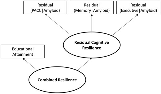 Quantification of resilience metrics. Residuals from linear regression models in which a cognitive score was regressed on age, sex, and amyloid levels were extracted and entered as indicator variables in a partial least squares path model using established procedures. Combined resilience was quantified as a second order latent trait in the model in which educational attainment was included as an additional indicator variable. PACC = Preclinical Alzheimer Cognitive Composite.