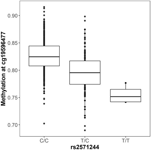 Functional annotation of resilience GWAS results. The minor allele of rs2571244 (T) is associated with decreased methylation at the CpG site cg19596477.