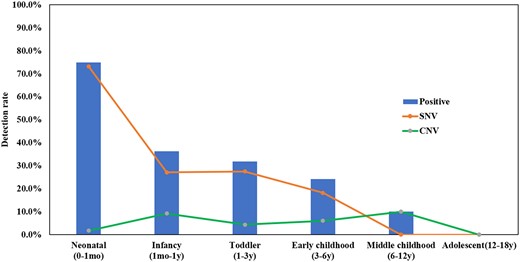 Detection rates at different ages of seizure onset. Detection rate: The ratio of the total number of positive samples in the age range of seizure onset. mo = month(s); y = years.
