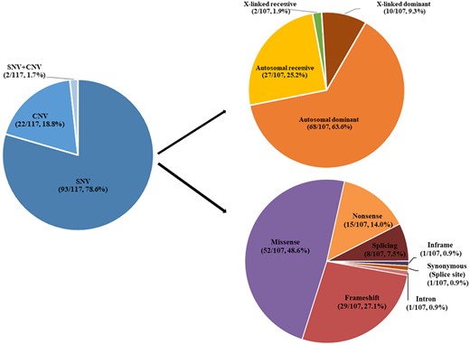 Variation type in 117 patients with epilepsy.