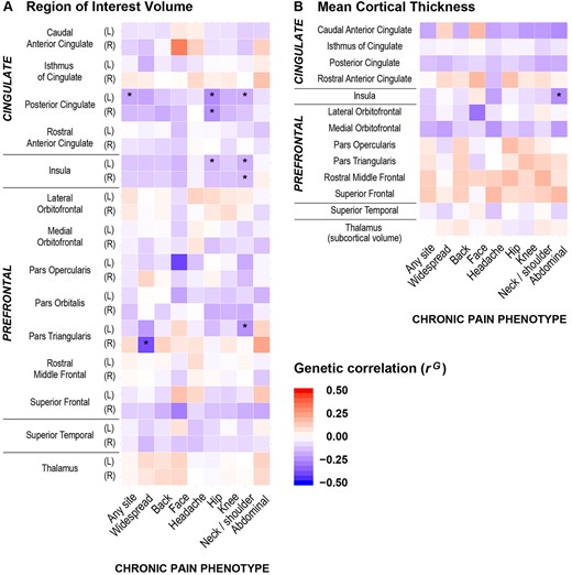 Heat maps for genetic correlations (rG) between the nine chronic pain phenotypes and neuroimaging traits. (A) Region of interest volume, and (B) mean cortical thickness (or subcortical volume as applicable) for cingulate cortex, insula, prefrontal cortex, superior temporal gyrus and thalamus. Asterisk denotes significant rG at 5% FDR. Direction of correlation is shown by heat map colours (i.e. red denotes positive rG and blue denotes negative rG), with darker shading indicating stronger genetic associations. Significant negative genetic correlations were observed at the insula, posterior cingulate cortex and pars triangularis between neuroimaging traits and a number of chronic pain phenotypes (i.e. chronic hip, neck/shoulder, abdominal, widespread pain and pain at any site). L = left; R = right.