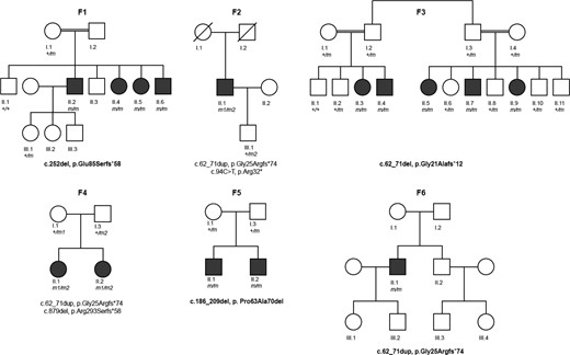 Pedigrees of investigated families. Pedigrees of six families with bi-allelic variants in VWA1 in affected individuals. Filled black symbols = affected individuals; crossed symbols = deceased individual. Variants in VWA1 are presented below pedigrees. Homozygous variants are presented in bold (m in the pedigrees). Compound heterozygous mutations are presented in two rows (first row, m1 in the pedigrees and second row, m2 in the pedigrees).