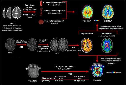 MRI post-processing. MRI post-processing for lesion masks, NODDI and 23Na MRI (images from a patient presented in the native space for each modality). DWI = diffusion-weighted imaging; GIF = geodesic information flow; PD = proton density; WM = white matter.