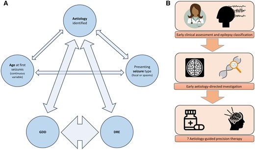 (A) Correlation network, demonstrating interrelationships between aetiology, age, seizure type, GDD and DRE. Thickness of arrow represents strength of relationship (Wald statistic on binomial regression model). Outcomes were strongly determined by aetiology. (B) Early identification of aetiology may allow prompt initiation of aetiology directed therapy and thereby improve outcomes.
