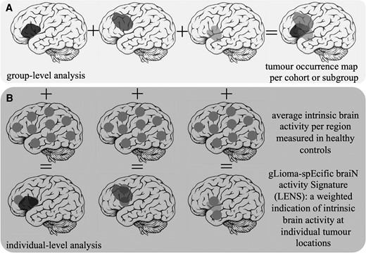 Schematic overview of patient-related analyses. (A) The construction of the tumour occurrence map per cohort or subgroup by summation of all tumour masks in template space is depicted. (B) Individual tumour masks are overlaid with regional brain activity values of healthy controls. Brain activity values are then weighted according to per cent overlap with the tumour, and the ultimate average LENS is normalized for the total number of regions overlapping with the tumour.
