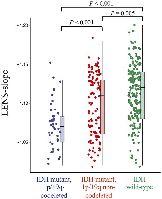 Individual LENS-slope values according to tumour subtype. This figure shows box plots and all individual patient data-points of LENS-slope values per tumour subtype.
