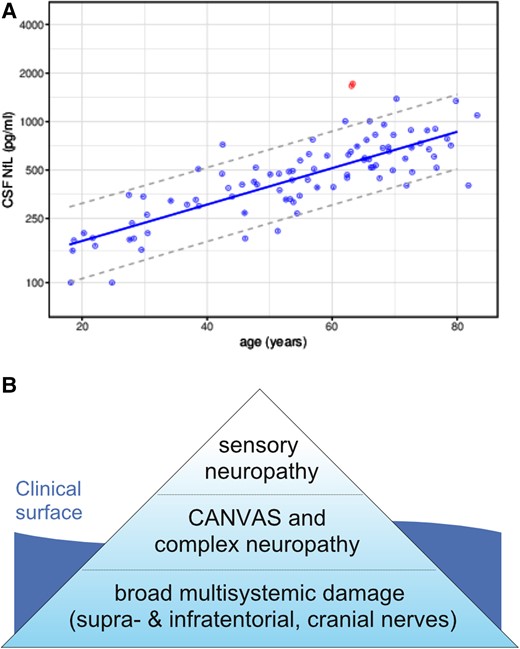 CSF evidence and refined hypothesis of multisystemic neurodegeneration in RFC1-disease. (A) Increased CSF levels of NfL in RFC1-disease. CSF levels of NfL in the RFC1 subject (red dots) were increased compared to 89 healthy controls (including control subjects >80 years of age). The dashed lines represent the 90% prediction interval of the CSF NfL levels in controls, modelled by linear regression of the log-transformed data. To confirm the increased NfL levels, the RFC1 subject had been sampled twice at an interval of 3 months (two red circles). (B) The ‘iceberg’ hypothesis of RFC1-disease in terms of underlying neurodegeneration. Sensory neuropathy is just the tip of the iceberg, with a broader bulk of (possibly subclinical) multisystemic supra-, infratentorial and cranial nerve degeneration.