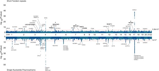 Genome-wide association results for imputed STRs and SNPs in 16 PD GWAS cohorts from the IPDGC. Hudson plot representing the association analysis results for STRs (upper) and SNPs (lower) across the human genome showing the 34 genome-wide significant STR loci (P < 5.34 × 10−6) after the conditional-joint analysis with GCTA. Gene names with larger font size represent the loci influenced by STRs after including SNPs associations. Gene names with a dot above represent STR loci independent from the current 90 PD risk variants from the 2019 PD GWAS meta-analysis.