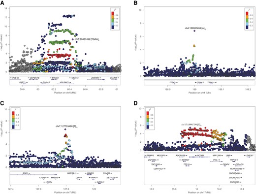 Regional association plots for the four candidate independent STR loci. Locus zoom plots were generated for the four GCTA-nominated independent STR loci from SNPs and 90 PD risk loci in (A) chromosome 5 within NDUFAF2, (B) chromosome 4 nearby TRIML2, (C) chromosome 7 nearby MIR129-1 and (D) chromosome 17 within NCOR1. The lead STR variant is depicted as a purple diamond and nearby variants (STRs and SNPs) in circles coloured according to their LD r2-value to the lead STR variant. Gene annotations for each region are displayed at the bottom of each panel, showing gene strand orientation with arrows.