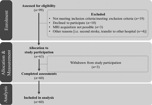Consort flow diagram. Patients’ inclusion flow-chart based on the CONSORT 2010 guidelines: 99 patients were assessed for eligibility. Apart from a history of first-ever right-hemispheric stroke, the main inclusion criteria were age >18 years, normal or corrected-to-normal visual acuity, and being able to undergo an MRI scan. Exclusion criteria were other neurological diseases, major psychiatric diagnoses and alcohol/drug abuse. 63 patients were allocated to study participation, from which three patients withdrew for personal reasons. In the end, 60 patients completed the assessments and were included in the final analyses.