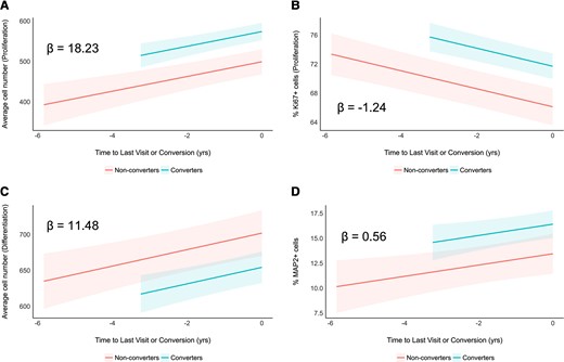 Exposure to 1% serum from MCI converters leads to differential changes in average cell number, proliferation and neuronal differentiation compared to non-converters. (A and B) Modelled trajectories (with 95% CIs) of linear mixed-effects regression models fitted to the proliferation phase data. Time to last visit (for non-converters) and time of conversion to Alzheimer’s disease (for converters) was assigned 0, and the number of years before that were assigned negative values (i.e. 1 year before conversion is −1). Longitudinal serum samples from MCI converters (turquoise) predicted overall higher average cell number (A) and proliferation (% Ki67+) (B) compared to non-converters (red). Slopes (β coefficient estimates) are indicated within the plots. (C and D) Modelled trajectories (with 95% CIs) of linear mixed-effects regression models fitted to the differentiation phase data. Time to last visit (for non-converters) and time of conversion to Alzheimer’s disease (for converters) was assigned 0, and the number of years before that were assigned negative values (i.e. 1 year before conversion is −1). Longitudinal serum samples from MCI converters (turquoise) predicted overall lower average cell number (C) and higher neuronal differentiation (% MAP2+) (D) compared to non-converters (red). Slopes (β coefficient estimates) are indicated within the plots.