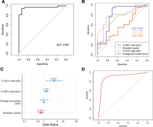 Average cell number and Ki67 during proliferation, and CC3 during differentiation, combined with education in years can predict progression from MCI to Alzheimer’s disease. (A) ROC curve for the logistic regression model predicting progression from MCI to Alzheimer’s disease. AUC for the model, an indicator of the discriminative performance, is 0.967. Sensitivity = 92.1%, specificity = 94.1%, positive predictive value = 97.2% and negative predictive value = 84.2%. (B) ROC curves for each four individual predictors included in the full logistic regression model. (C) Odds ratios for the four predictors. Blue and red indicate >1 and <1, respectively. *P < 0.05. ***P < 0.001. (D) ROC curve for the cross-validated logistic regression model predicting progression to Alzheimer’s disease. Internal validation of the model was done with repeated k-fold cross-validation (k = 5, 1000 repeats) using SMVs (radial basis function kernel). AUC = 0.93, sensitivity 90.3% and specificity 79.0%.