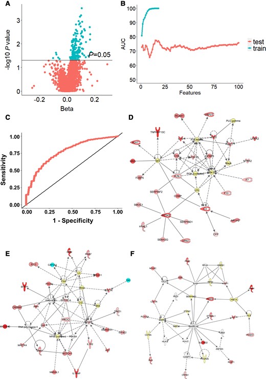 Analysis of serum proteins differentially expressed in MCI converters compared to non-converters. (A) Volcano plot of proteins significantly increased in MCI converters compared to non-converters. Turquoise dots represent proteins whose P-value was below the significance threshold of P < 0.05 (n = 205). (B) The optimal number of multivariate proteins to differentiate MCI converters from non-converters was calculated by machines learning. The plot shows AUCs of the training set as features are added to the model, and AUCs of the testing set during cross-validation. The least absolute shrinkage and selection operator feature selection with SVM for prediction were used. The number of proteins identified with this procedure was 15. (C) ROC curve of the test model. The maximum AUC (0.77) was achieved using the following 15 identified proteins: Q9UHD0, Q9UK55, Q9NPH3, Q96PU8, Q8N474, Q8TBE7, Q9NTK1, Q6UWD8, O14548, P43251, P19876.P19875, Q8NBP7, P52907, P00797 and Q9Y5Q6 (UniProt ID). (D–F) The three top scoring networks analysed by IPA using the 205 differentially expressed proteins in MCI converters. Proteins are represented by nodes: upregulated in red and downregulated in turquoise. Additional interacting molecules not included in the SomaScan are marked in white. Each network is displayed as a series of nodes (proteins) and edges (i.e. lines corresponding to biological relationships between nodes). Solid and dotted lines indicate direct and indirect interactions, respectively. (D) ‘Hematological System Development and Function, Organismal Functions, Organismal Injury and Abnormalities’ (score 48; includes 27 focus molecules from the SomaScan panel). (E) ‘Cell Death and Survival, Embryonic Development, Organismal Development’ (score 43; includes 25 focus molecules from the SomaScan panel). (F) ‘Cell-to-Cell Signaling and Interaction, Cellular Function and Maintenance, Inflammatory Response’ (score 21; includes 15 focus molecules from the SomaScan panel).