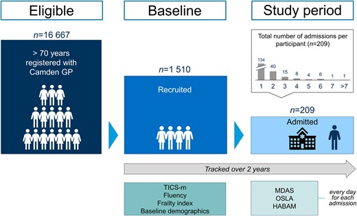 Participant flow diagram. Cohort structure showing sample and schedule of assessments.