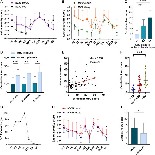 Relevant histo-molecular features and correlations in sporadic Creutzfeldt–Jakob disease MV2K subtype. (A) Comparison between lesion profiles of sporadic Creutzfeldt–Jakob disease MV2K and VV2. (B) Lesion profiles of MV2K with long (>18 months) and short (<9 months) disease duration. (C) Relationship between kuru plaque load in the cerebellar molecular layer and total amount in the cerebellum. (D) Relationship between cerebellar kuru plaque score and occurrence of kuru plaques outside the cerebellum. (E) Correlation between cerebellar kuru plaque score and disease duration. (F) Relationship between prominent unglycosylated PrPSc fragment size and cerebellar kuru score. (G) Spatial distribution of PrP perivacuolar (PV)/coarse deposits in MV2K + 2C phenotype. (H) Lesion profiles of pure MV2K and mixed MV2K + 2C phenotypes. (I) Comparison of cerebellar kuru score in pure and mixed phenotypes. (A, B and H) Data are expressed as mean and 95% confidence interval (bars). (C–F) Kuru scores represent the mean number of kuru per cerebellar folium. In F, >f19 = dominant 19 kDa fragment; iso f19/20 = iso-intensity between 19 and 20 kDa fragments; >f20 = dominant 20 kDa fragment. FC = frontal cortex; TC = temporal cortex; PC = parietal cortex; OC = occipital cortex; HIPP = hippocampus; EC = entorhinal cortex; AMG = amygdala; STR = striatum; TH = thalamus; MDB = midbrain; CE = cerebellum. *P ≤ 0.05, **P ≤ 0.01, ***P ≤ 0.001, ****P ≤ 0.0001.