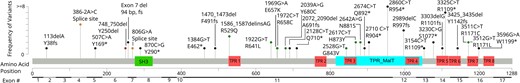 All variants included in this study arranged by cDNA position. The variant 286°C>T (R954*) was seen far more than any other variant, 61 times in this study. The figure has been truncated for legibility purposes. No other variant was seen more than seven times. Gene sequence and functional annotations data obtained from NCBI refseq, MANE isoform.30 Black = nonsense or out-of-frame variations; orange = splice site mutation; brown = in-frame deletion; green = missense.