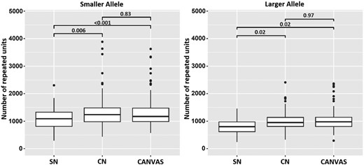 Relationship between phenotype and repeat length. The box plots compare the repeat size for the smaller (left) and larger (right) alleles in patients with different phenotypes at last examination. P-values were calculated adopting Tukey’s correction. CANVAS = cerebellar ataxia, neuropathy and vestibular areflexia syndrome; CN = complex neuropathy; SN = sensory neuropathy.