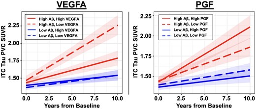 Effects of plasma VEGFA and PGF on longitudinal tau PET burden. Linear mixed effects models revealed significant interactions between baseline amyloid-β (Aβ) burden and plasma VEGFA/PGF on longitudinal tau pathology in inferior temporal cortex (ITC). Individuals with elevated baseline Aβ burden and low VEGFA (left, dashed red line) or high PGF (right, solid red line) showed accelerated ITC tau accumulation. Baseline Aβ burden and VEGFA/PGF levels were modelled as continuous variables. To visualize the model results, estimated ITC tau trajectories based on different levels of baseline Aβ burden and VEGFA/PGF are presented. Low and high plasma markers are represented by −1 and +1 standard deviations relative to the mean. Low and high Aβ is represented by the mean Pittsburgh compound-B distribution volume ratio (PiB DVR) of amyloid-negative (1.17) and amyloid-positive (1.84) participants respectively, dichotomized using the conventional amyloid-positivity threshold (PiB PVC-DVR of 1.32) in the Harvard Aging Brain Study (HABS) cohort for illustration purpose. SUVR = standardized uptake value ratio.
