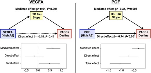 Tau mediates the effects of low VEGFA and high PGF on faster cognitive decline in preclinical Alzheimer’s disease. Results from moderated mediation analyses demonstrated that at an elevated level of baseline amyloid-β (Aβ) burden, accelerated accumulation of inferior temporal cortex (ITC) tau pathology fully mediated the effects of low VEGFA and partially mediated (31%) the effects of high PGF on faster Preclinical Alzheimer’s Cognitive Composite-5 (PACC5) decline. Elevated Aβ burden was defined using the mean Pittsburgh compound-B partial volume corrected distribution volume ratio (PiB PVC-DVR) burden of Aβ-positive participants in the Harvard Aging Brain Study (HABS), which was 1.84.