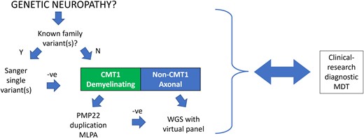 The genetic testing algorithm. CMT1 = Charcot-Marie-Tooth type 1; MDT = multidisciplinary team; MLPA = multiplex ligation-dependent probe amplification; WGS = whole genome sequencing.