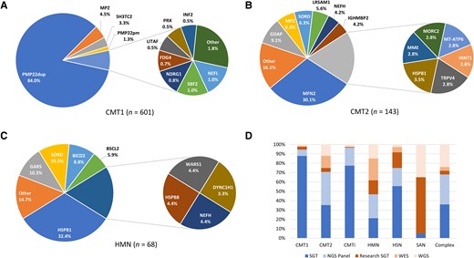 Genetic diagnosis breakdown by phenotype. (A) Charcot-Marie-Tooth disease type 1 (CMT1); (B) CMT2; (C) hereditary motor neuropathy (HMN). (D) How the genetic diagnosis was reached (probands). CMT(i) = Charcot-Marie-Tooth disease (intermediate); HSN = hereditary sensory neuropathy; NGS = next-generation sequencing; PMP22dup = PMP22 duplication; PMP22pm = PMP22 point mutation; SAN = sensory ataxic neuropathy; SGT = single gene test; WES = whole exome sequencing; WGS = whole genome sequencing. Colour scheme in D: blue tones = service laboratory testing, orange tones = research testing; all WGS testing in D is denoted research because only two cases have been diagnosed through the National Health Service WGS.