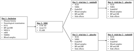 Study protocol flowchart. BP: blood pressure; ECG: electrocardiogram; FLAIR: fluid-attenuated inversion recovery; HR: heart rate; MOCA: Montreal Cognitive Assessment; mRS: modified Rankin Scale; NIHSS: National Institute of Health Stroke Scale; T1W 3D: T1-weighted 3D.
