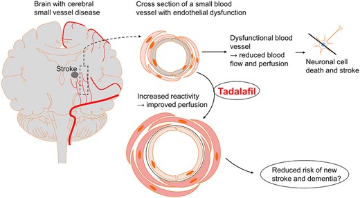Graphical Abstract