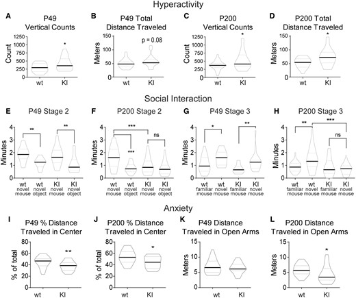 Gabrb3+/D120N KI mice exhibited hyperactivity, social deficits and anxiety. (A–D) KI mice had a mild hyperactive phenotype at P49, which became more pronounced at P200. Data shown were collected from 60 min in the locomotor activity chambers. (A) Vertical counts, or the number of rearings, detected at P49 were plotted (group means: wild type 293.6 ± 29.10, KI 417.0 ± 44.42). (B) Total distance travelled (centre and surround included) in the locomotor activity chambers at P49 (group means: wild type 49.03 ± 3.22 m, KI 58.71 ± 4.38 m). (C) Vertical counts at P200 (group means: wild type 373.3 ± 32.00, KI 527.5 ± 63.17). (D) Total distance travelled at P200 (group means: wild type 52.68 ± 3.97 m, KI 70.71 ± 7.09 m). Graphed values are expressed as median ± SEM. Unpaired two-tailed Student’s t-test, *P < 0.05. n = 20–25. (E–H) The 3CST showed social deficits in KI mice that begin at P49 and become more pronounced at P200. Not shown is Stage 1, a 10-min familiarization stage for the test mouse to acclimate to the set-up. (E, F) Stage 2 of the 3CST was a 10-min trial in which subject mice had two socialization options: (i) an empty inverted pencil cup in one side chamber or (ii) an inverted pencil cup containing a novel age-matched female mouse in the other side chamber. Two-way ANOVA was not significant for a genotype effect at P49 in E, and genotype effect was significant at P200 at P < 0.05 in F (group means: P49, novel mouse: wild type 1.89 ± 0.13 min, KI 1.86 ± 0.18 min; novel object: wild type 1.19 ± 0.08 min, KI 1.06 ± 0.14 min; total exploration: wild type 3.00 ± 0.24 min, KI 2.64 ± 0.18 min. P200, novel mouse: wild type 1.60 ± 0.17 min, KI 1.00 ± 0.14 min; novel object: wild type 0.79 ± 0.08 min, KI 0.76 ± 0.11 min; total exploration: wild type 2.39 ± 0.21 min, KI 1.73 ± 0.22 min). (G, H) Stage 3 of the 3CST was a 10-min trial in which test mice had two socialization options: (i) familiar socialization, in which the novel mouse from Stage 2 remained where she was or (ii) novel socialization, in which a new novel mouse was placed under the previously empty pencil cup. Two-way ANOVA showed a significant genotype effect P < 0.01 at both (G) P49 (group means: familiar mouse: wild type 1.11 ± 0.14 min, KI 0.72 ± 0.07 min; novel mouse: wild type 1.54 ± 0.12 min, KI 1.27 ± 0.14 min; total exploration: wild type 2.65 ± 0.21 min, KI 2.00 ± 0.17 min) and (H) p200 (group means: familiar mouse: wild type 0.89 ± 0.08 min, KI 0.82 ± 0.14 min; novel mouse: wild type 1.49 ± 0.19 min, KI 0.72 ± 0.09 min; total exploration: wild type 2.38 ± 0.21 min, KI 1.58 ± 0.17 min). Graphed values expressed as median ± SEM. Statistical tests shown on graphs are a priori Bonferroni post-tests after two-way ANOVAs. Four comparisons were made in each graph; however, only significant or otherwise relevant results were shown. Bonferroni multiple-comparison correction significance levels for E–H were: *P < 0.05, **P < 0.01, ***P < 0.001. n = 21–23. (I–L) KI mice displayed elevated anxiety in both the locomotor activity chambers and the elevated zero maze, with a mild anxiety phenotype at P49 and more pronounced anxiety at P200. (I, J) Each subject spent 60 min in the locomotor activity chamber. The chamber was divided into two 50% sections by area: the centre and the surround. Distance travelled within the surround (edge) area as a percentage of total distance travelled was shown for (I) P49 (group means: wild type 44.80 ± 1.92, KI 37.84 ± 1.67) and (J) P200 (group means: wild type 53.63 ± 2.49, KI 44.96 ± 2.08). (K, L) Each subject spent 5 min in the elevated zero maze. The distance travelled in the open arms at (K) P49 (group means: wild type 6.87 ± 0.43, KI 6.39 ± 0.33) and (L) P200 (group means: 5.82 ± 0.39, KI 4.386 ± 0.58). Data not shown: total distance travelled was not changed for the KI mice at either age in the zero maze. Graphed values are expressed as median ± SEM. Unpaired two-tailed Student’s t-test, for I–L, *P < 0.05, **P < 0.01. n = 22–28. 3CST: three-chamber socialization test.