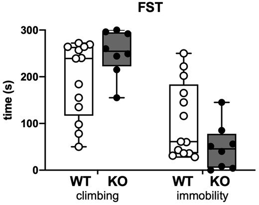 Forced swimming test. The plot shows the time spent by the rats in trying to climb the cylinder or swimming in an attempt to find an escape (climbing) and the time spent floating immobile (immobility). Open circles represent WT (n = 13 rats) and solid circles represent SESN3-KO rats (n = 8 rats).