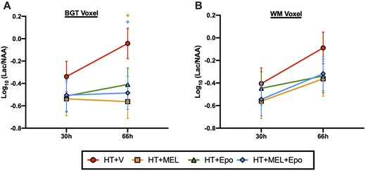 1H MRS lactate/N-acetyl aspartate (Lac/NAA) peak ratios at 30 h and 66 h after HI. Lac/NAA ratios were obtained for the BGT (A) and WM (B) voxels. An ANOVA model was fitted as previous described. Data presented are the grouped least square means Lac/NAA peak ratio ± standard error of the means (SEM) on the log10 scale. Comparison between treatment groups were assessed using 95% confidence intervals for Log10 (difference in least square means) and P values. Statistical significance shown as *(HT+MEL) and +(HT+MEL+Epo) where P < 0.05 compared to HT+V.