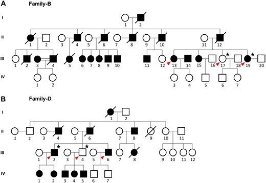 Pedigree tree of ADCME families subjected to WGS and RP-PCR analysis. WGS analysis was done for two individuals each from two families, (A) family B (B.III.19- affected and B.III.17- unaffected) and (B) family D (D.III.2- affected and D.III.4- unaffected), respectively. All the individuals who underwent sequencing and RP-PCR analysis are marked with a star and red arrowhead, respectively.