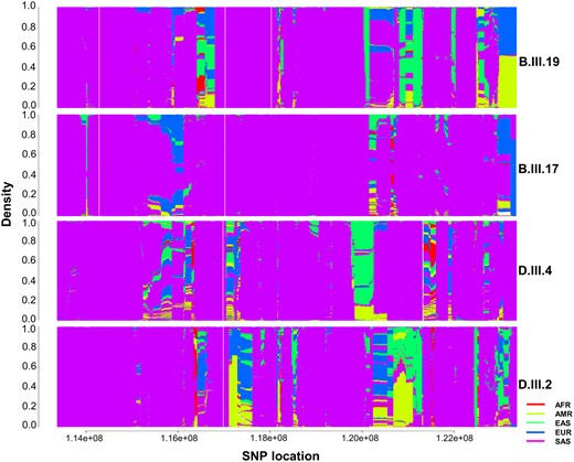 Haplotype ancestry prediction using fineSTRUCTURE. Ancestry prediction of two affected (B.III.19 and D.III.2) and two unaffected (B.III.17 and D.III.4) individuals was done for locus 5MB upstream and 5MB downstream to chr8:118366817-118366914 (hg38/GRCh38) using variant of 2504 individuals from five major population (AFR-African, AMR- American, EAS- East Asian, EUR-European, and SAS-South Asian) of 1000 Genomes Project.
