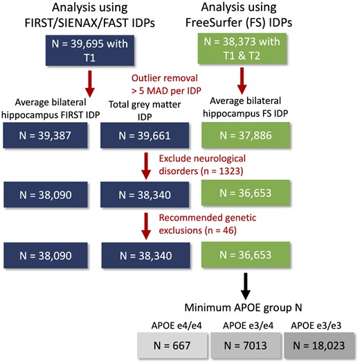 Flowchart for exclusions. Fewer participants had available data on FreeSurfer (FS) IDPs, because presence of both T1 and T2-weighted images were required. Outliers were removed for each IDP separately. Finally, participants with a neurological or psychiatric disorder or genetic data not meeting quality control were excluded from all IDP data.