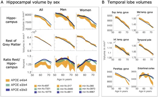 Accelerated hippocampal volume loss in APOE e4/e4 carriers in older age. (A) Hippocampal volume across age and divided by APOE group, in the whole sample, and for women and men separately. The acceleration of hippocampal volume loss that is increased in APOE e4/e4 carriers becomes clear when comparing hippocampal volume with total grey matter loss. The ratio of hippocampal volume to the rest of grey matter shows increased hippocampal volume loss relative to the rest of grey matter when its slope turns negative. (B) Temporal lobe volumes decrease largely linear across age for all APOE groups, with the exception of parahippocampal gyrus volume, which shows a similar trajectory to the hippocampus.